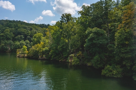 Lakefront Building Lot on Claytor Lake! - image 6