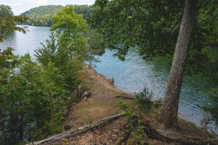Lakefront Building Lot on Claytor Lake! - image 9