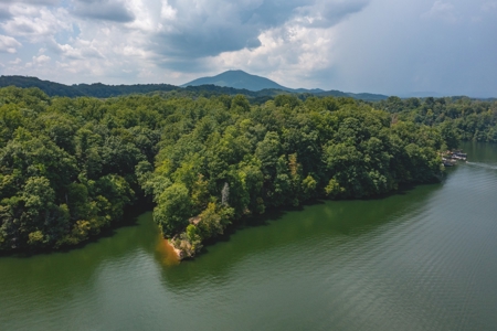 Lakefront Building Lot on Claytor Lake! - image 1