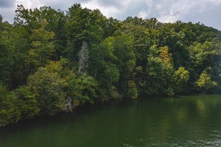 Lakefront Building Lot on Claytor Lake! - image 5