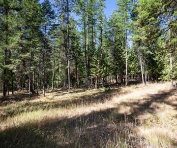 Golf Course Acreage In Whitefish Montana For Sale - image 1