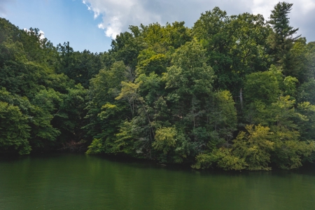 Land For Sale with Frontage on Claytor Lake! - image 3