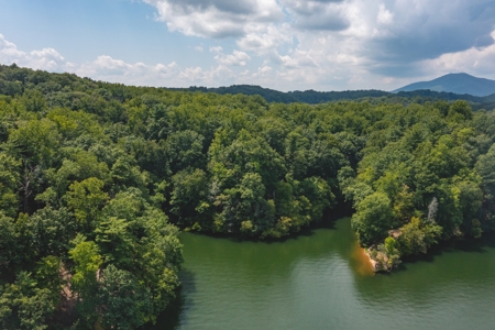 Land For Sale with Frontage on Claytor Lake! - image 1