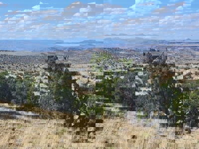 Off Grid Land For Sale in Santa Fe County, New Mexico - image 1