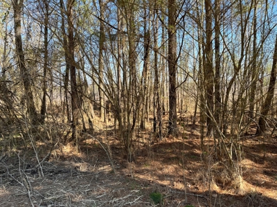 5.84 Acreage in Booming Bradley County - image 7