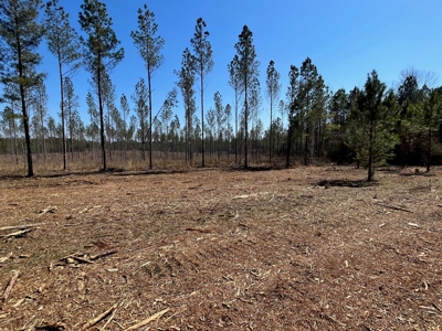 5.84 Acreage in Booming Bradley County - image 11