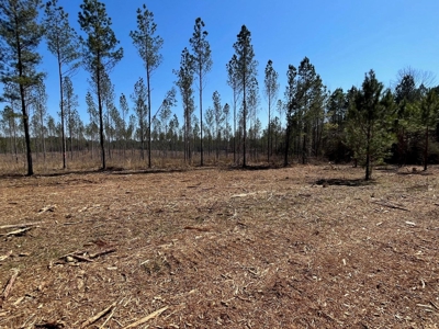 5.84 Acreage in Booming Bradley County - image 3