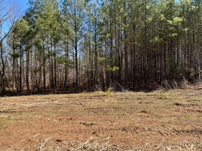 5.84 Acreage in Booming Bradley County - image 4
