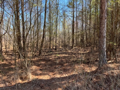 5.84 Acreage in Booming Bradley County - image 6
