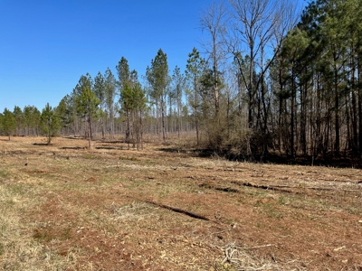 5.84 Acreage in Booming Bradley County - image 5