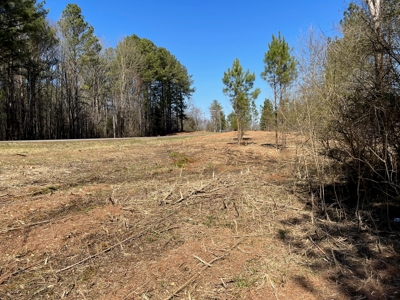 5.84 Acreage in Booming Bradley County - image 8