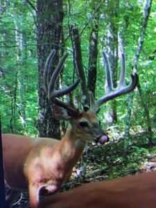 Waterfront Hunting Property with Lodge For Sale in Tennessee - image 37