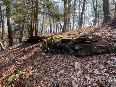 Waterfront Hunting Property with Lodge For Sale in Tennessee - image 26
