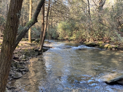 Waterfront Hunting Property with Lodge For Sale in Tennessee - image 31