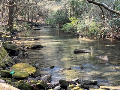 Waterfront Hunting Property with Lodge For Sale in Tennessee - image 28