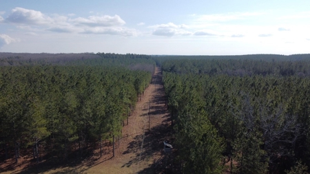 Waterfront Hunting Property with Lodge For Sale in Tennessee - image 15