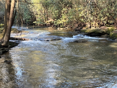 Waterfront Hunting Property with Lodge For Sale in Tennessee - image 30
