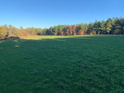 Waterfront Hunting Property with Lodge For Sale in Tennessee - image 35