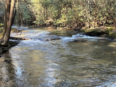 Waterfront Hunting Property with Lodge For Sale in Tennessee - image 1