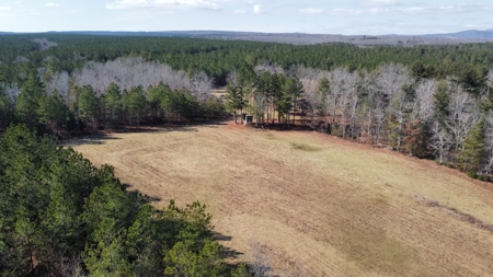 Waterfront Hunting Property with Lodge For Sale in Tennessee - image 38