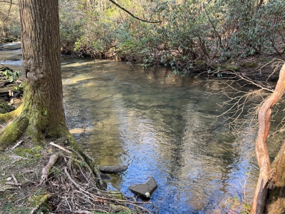 Waterfront Hunting Property with Lodge For Sale in Tennessee - image 29