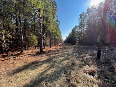 Waterfront Hunting Property with Lodge For Sale in Tennessee - image 3