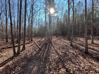 Waterfront Hunting Property with Lodge For Sale in Tennessee - image 4