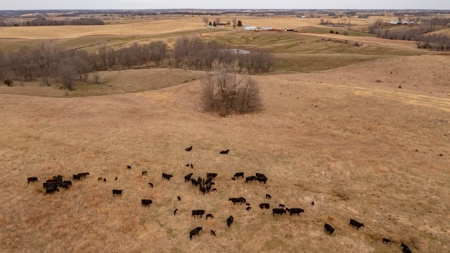 Missouri Cattle Ranch For Sale - image 19