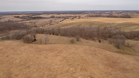 Missouri Cattle Ranch For Sale - image 20