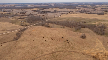 Missouri Cattle Ranch For Sale - image 18