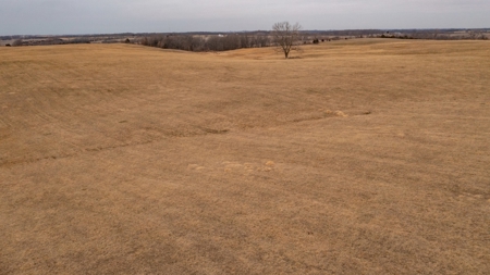 Missouri Cattle Ranch For Sale - image 28