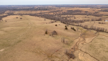 Missouri Cattle Ranch For Sale - image 6
