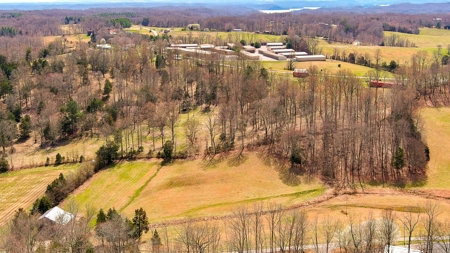 Under Contract - Unrestricted Tract in Burkesville, KY - image 17