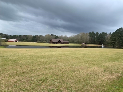 Lakefront Lodge For Sale Covington County Mississippi - image 1