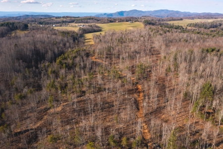 Stunning Farm for Sale in Floyd County VA! - image 11