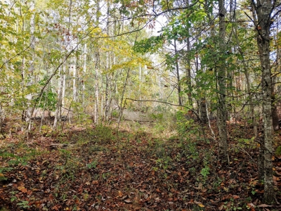 Stunning Farm for Sale in Floyd County VA! - image 23