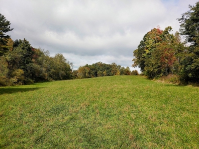 Stunning Farm for Sale in Floyd County VA! - image 27