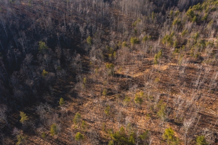 Stunning Farm for Sale in Floyd County VA! - image 12