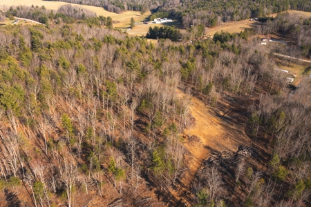 Stunning Farm for Sale in Floyd County VA! - image 14