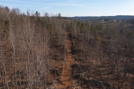 Stunning Farm for Sale in Floyd County VA! - image 8