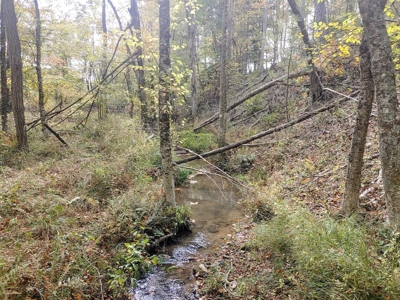 Stunning Farm for Sale in Floyd County VA! - image 19