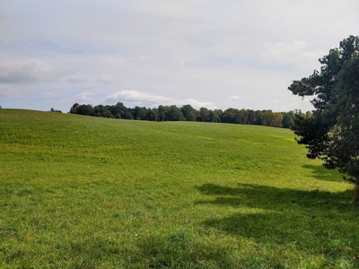 Stunning Farm for Sale in Floyd County VA! - image 29