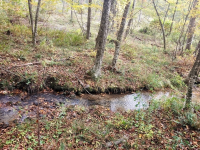 Stunning Farm for Sale in Floyd County VA! - image 20