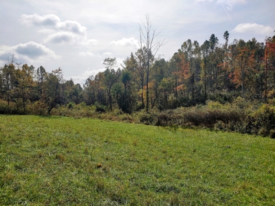 Stunning Farm for Sale in Floyd County VA! - image 26
