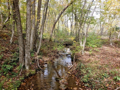 Stunning Farm for Sale in Floyd County VA! - image 22