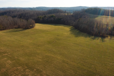 Stunning Farm for Sale in Floyd County VA! - image 3