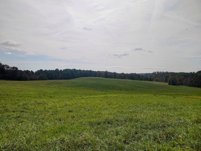 Stunning Farm for Sale in Floyd County VA! - image 6