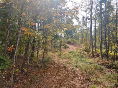 Stunning Farm for Sale in Floyd County VA! - image 16