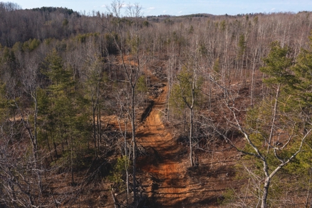 Stunning Farm for Sale in Floyd County VA! - image 9