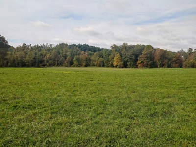 Stunning Farm for Sale in Floyd County VA! - image 7